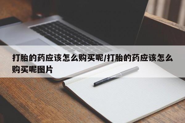 admin 第304页